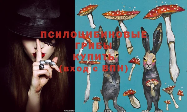спайс Баксан