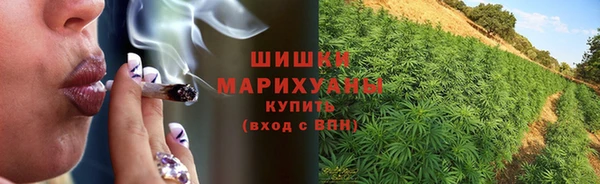 спайс Баксан