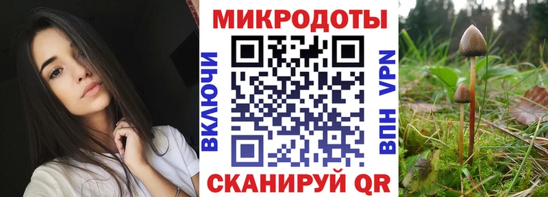 Галлюциногенные грибы прущие грибы  Красный Кут 